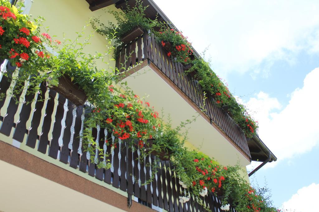 House Palijan Hotel Rakovica Buitenkant foto